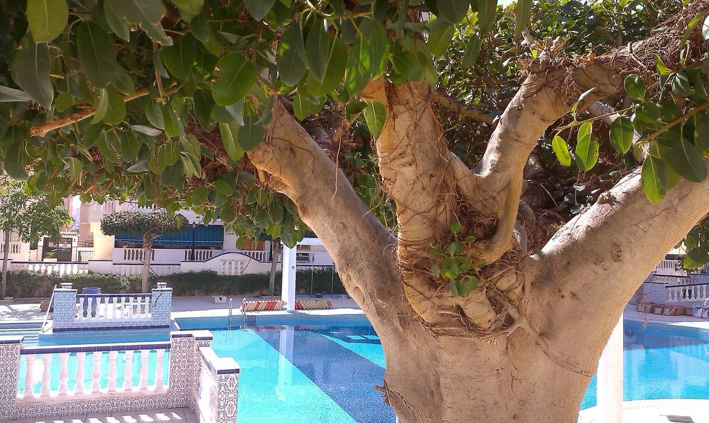 La Mata Vinamar Apartment Екстериор снимка